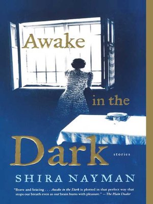 cover image of Awake in the Dark